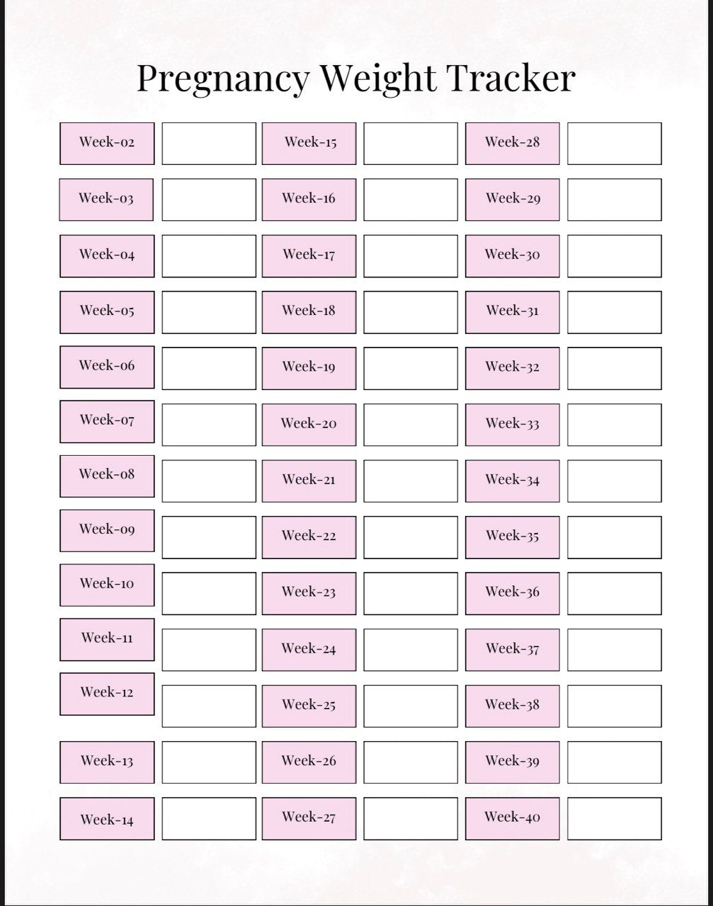 Pregnancy Planner - Complete 59 Page Pregnancy Journal & Organiser