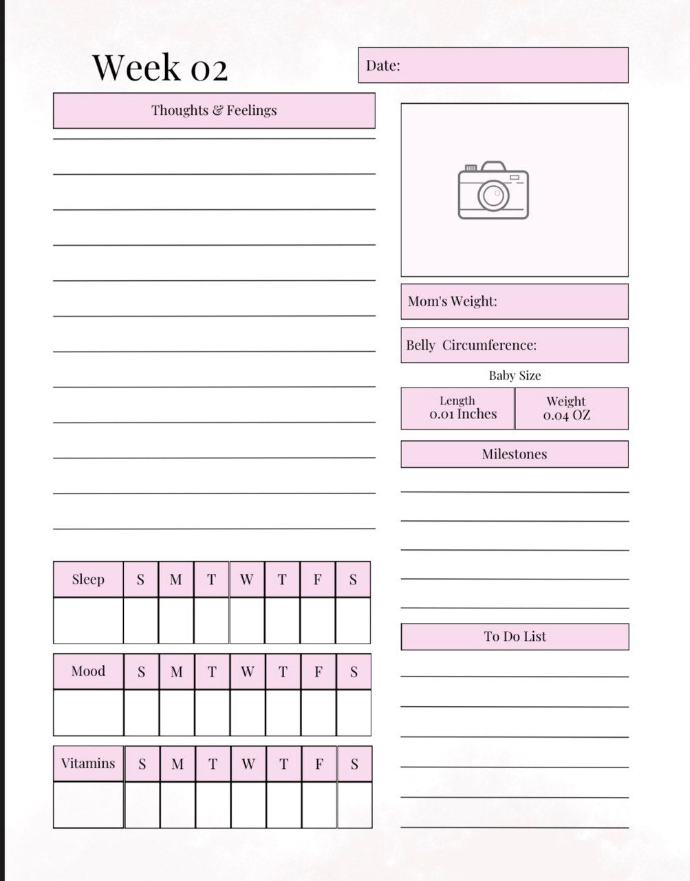Pregnancy Planner - Complete 59 Page Pregnancy Journal & Organiser
